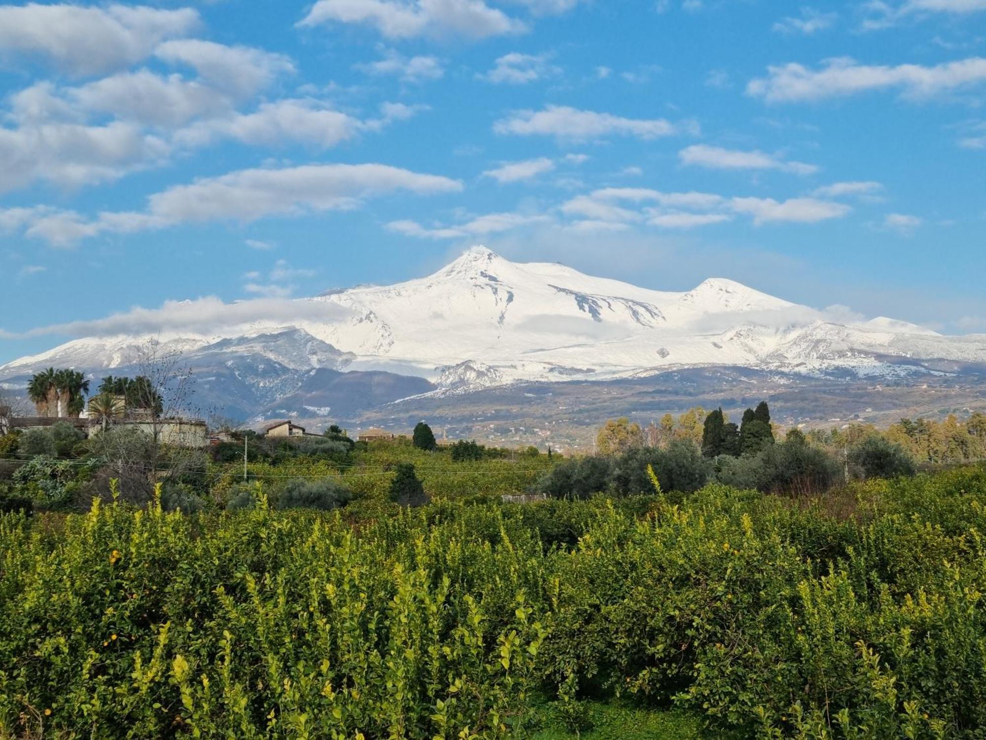Luxury Relaxing Home With Heated Pool Near Catania, Taormina, The Sea And Mount Etna 加里 外观 照片